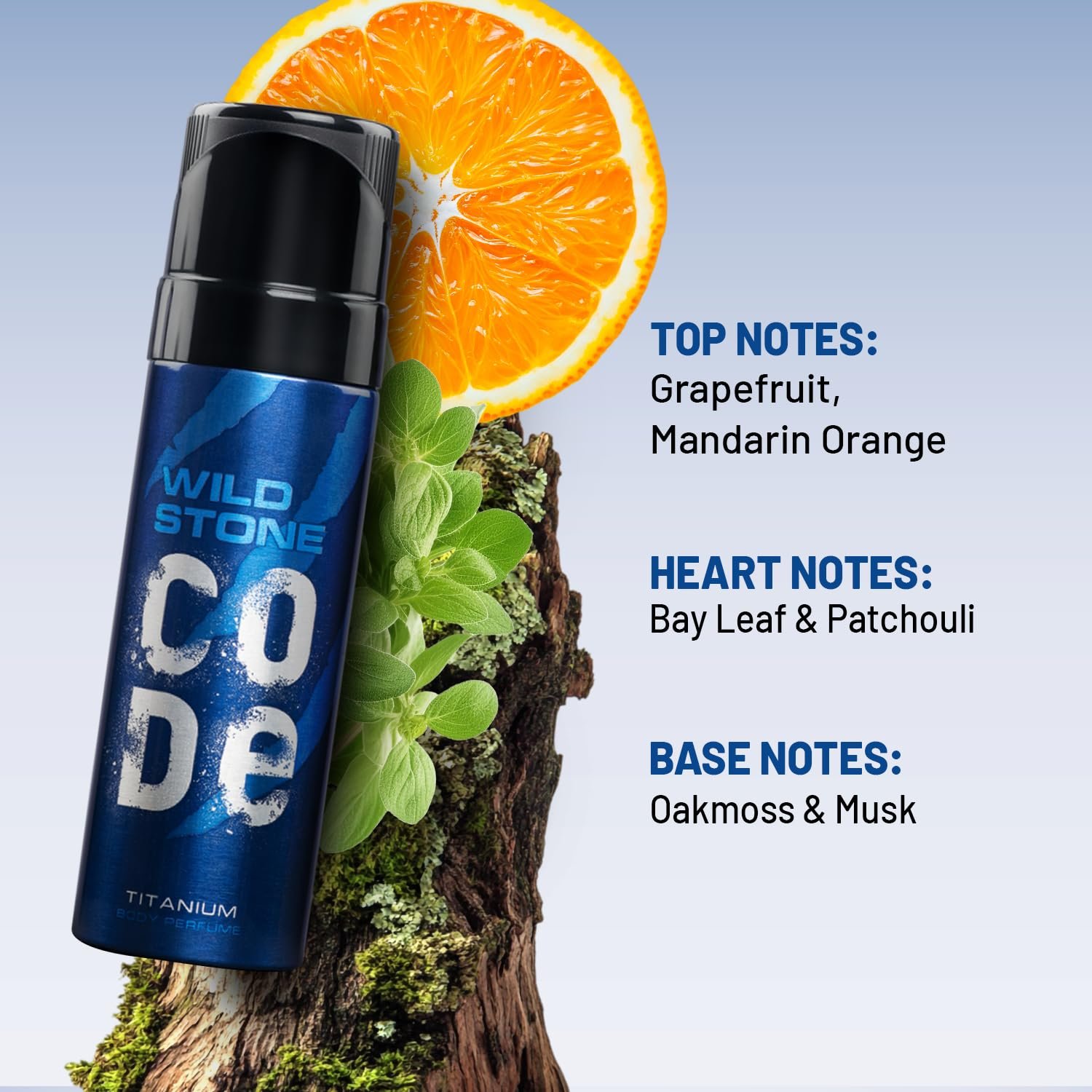 Wild Stone CODE Titanium Perfume Spray